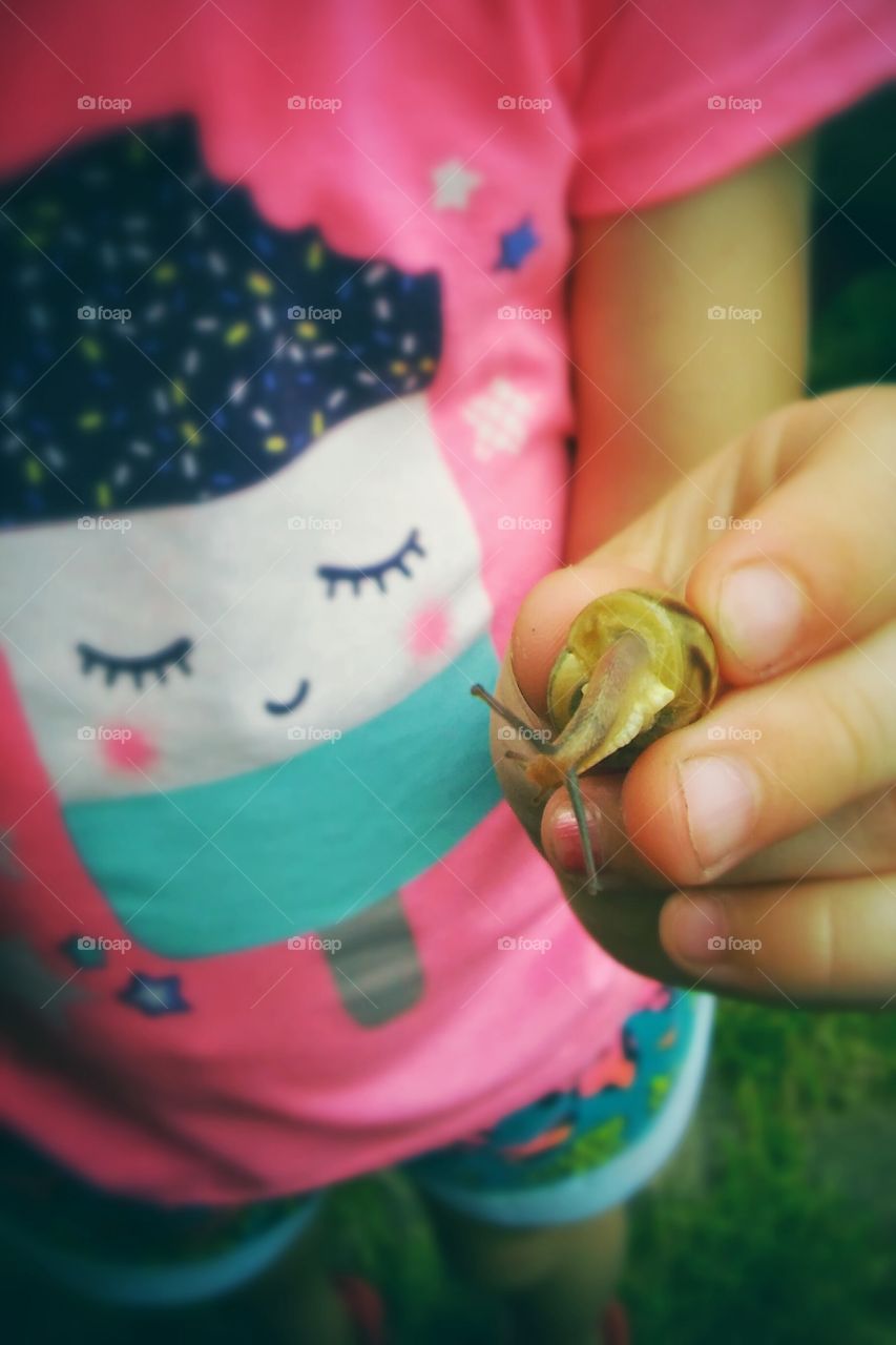 Ice cream and snail