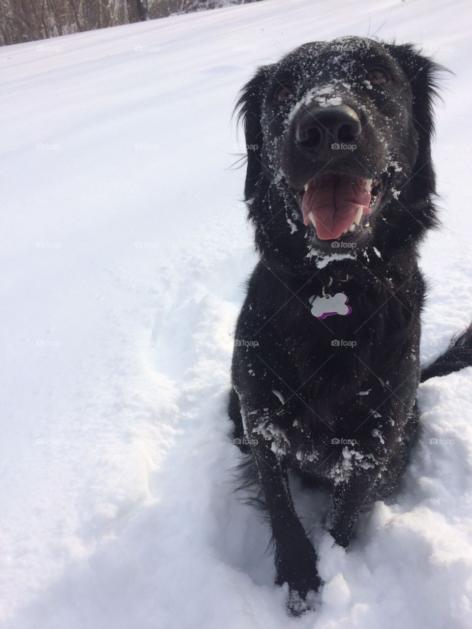 mia loves the snow 