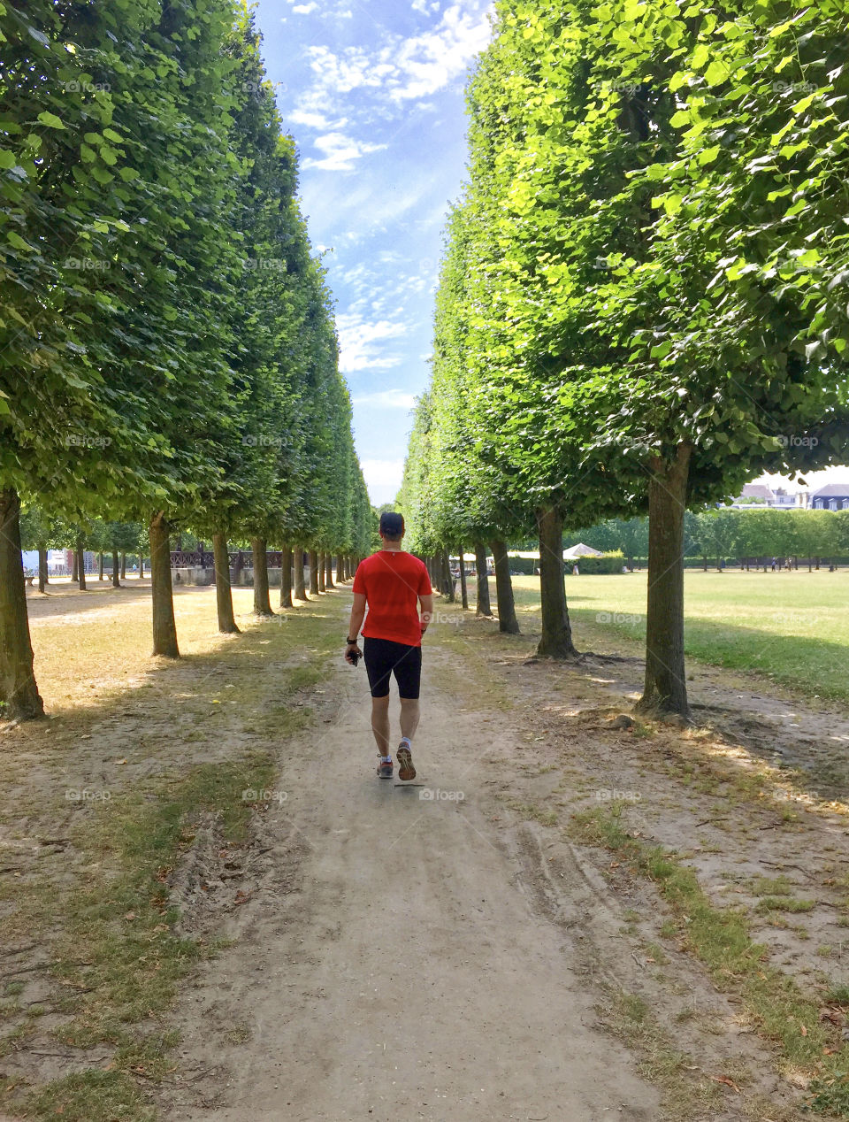 Man in red tshirt walks alone along the green trees alley