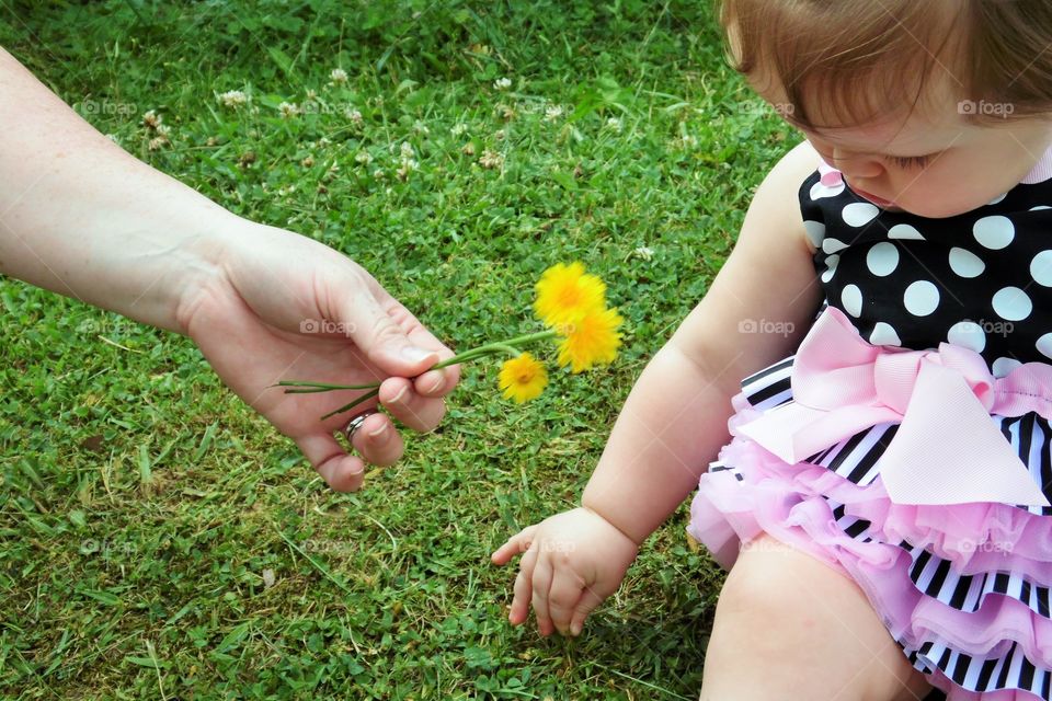 Discovering. A pic of my grand-daughter and her mother handing her a flower. 