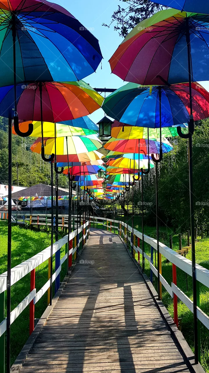 colored umbrellas