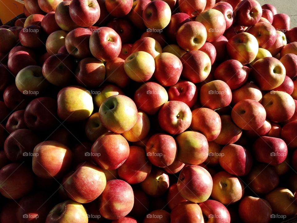 A group of red apples