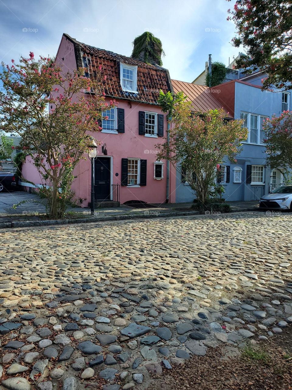 cobblestone street with houses