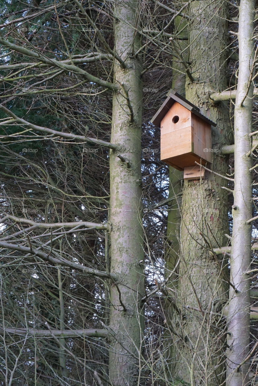Bird house in the woody terrain