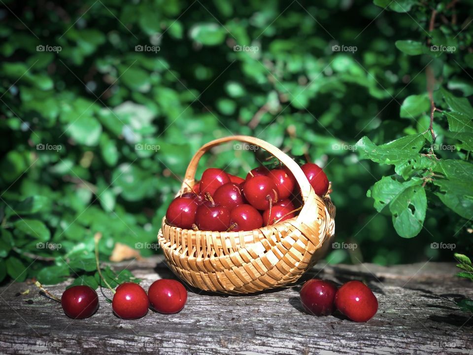 Cherries