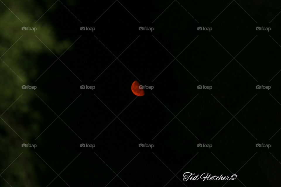 Fire moon