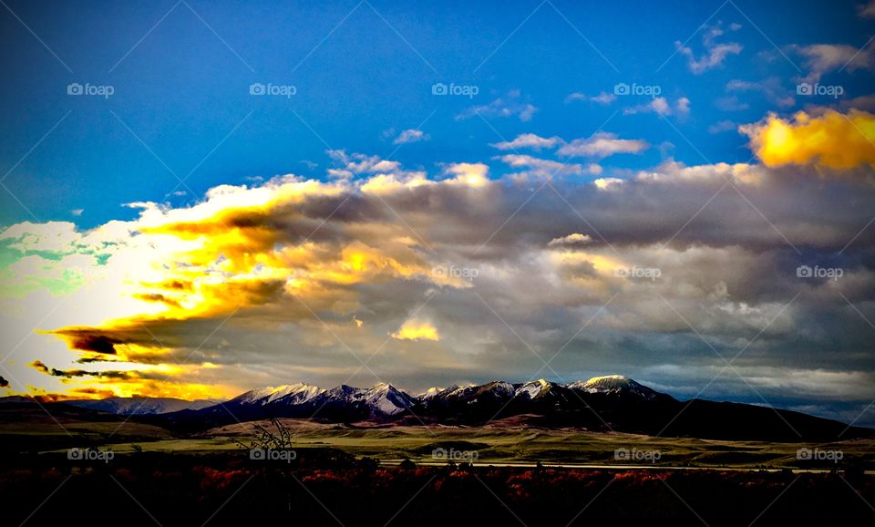 Color is the power that influences the soul