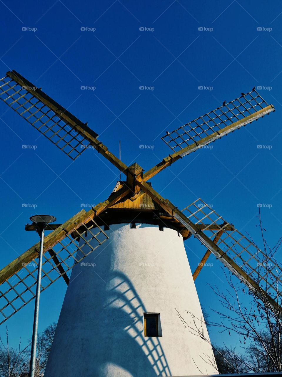 windmill