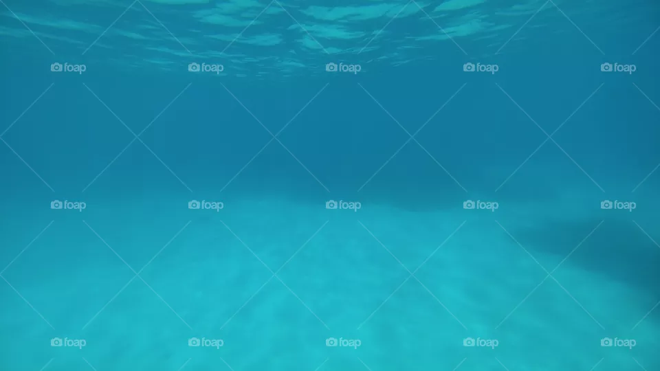 sea