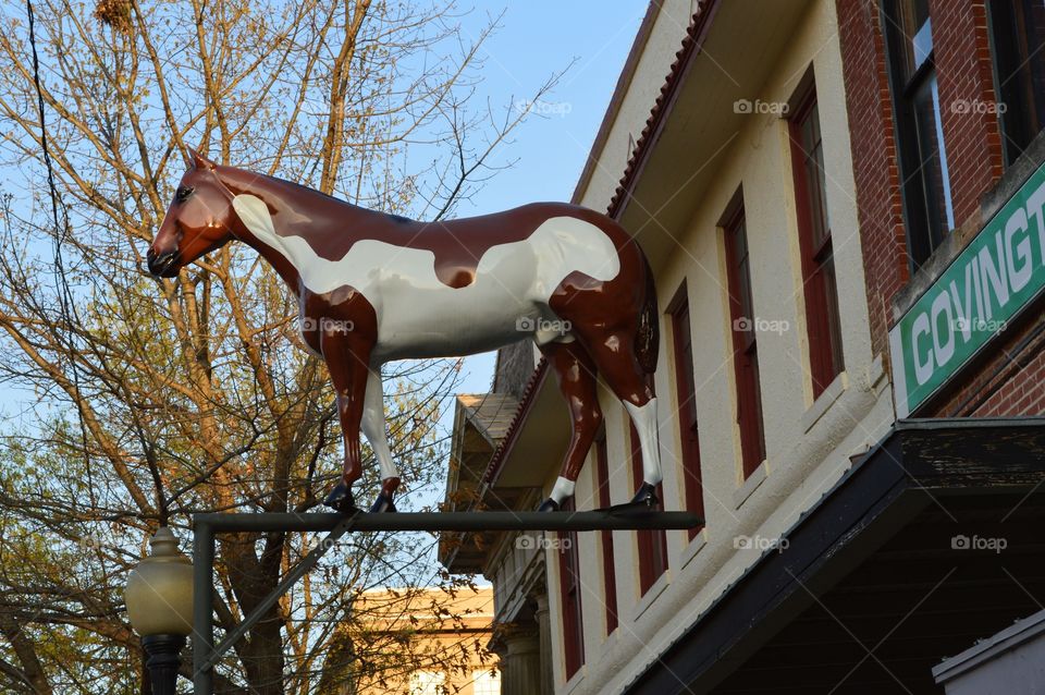 Old western store fiberglass horse sign. 