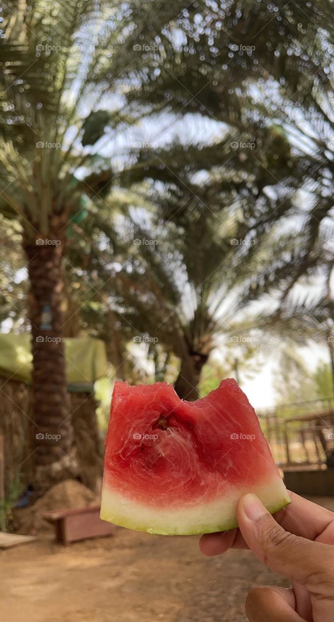 Watermelon from the farm