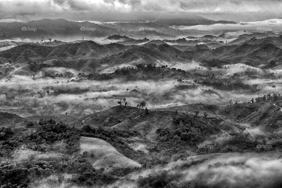 Foggy morning at Tahura Sultan Adam, South Borneo, Indonesia.