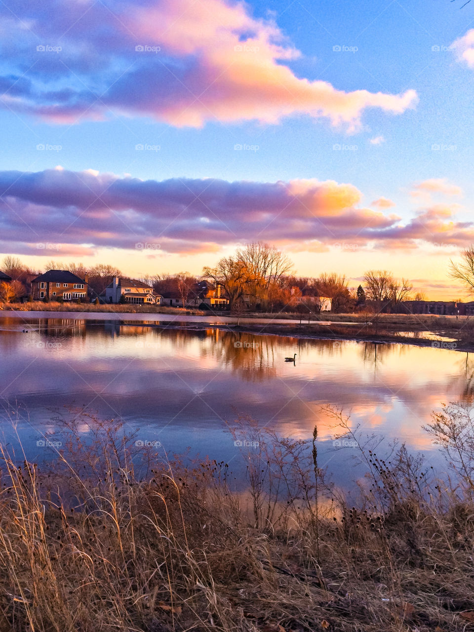A small clear lake reflects the colorful skies above it just before the sun sets, this scenic area is home to walking trails in DuPage County, Illinois 
