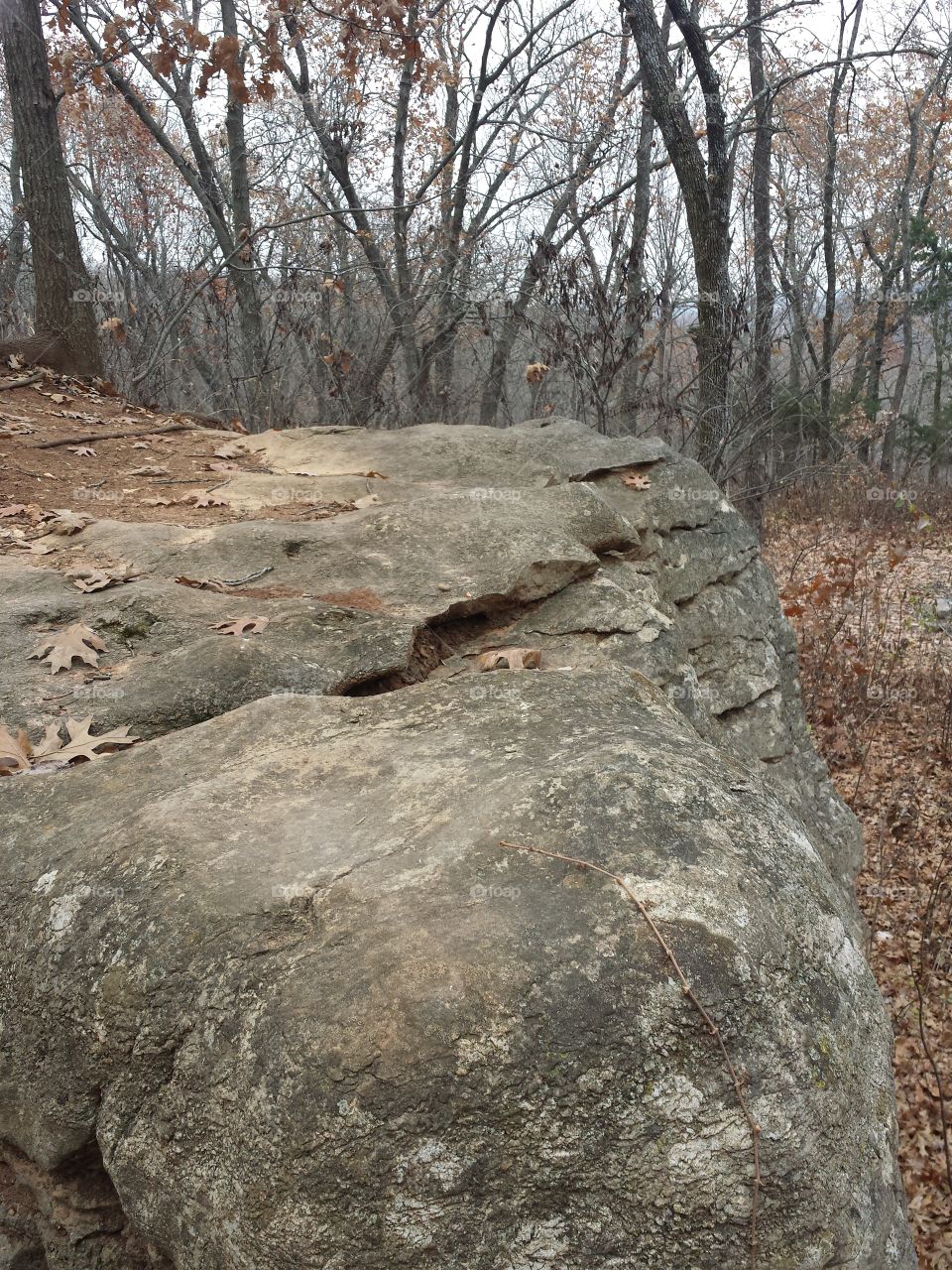 Monkey Mountain Views