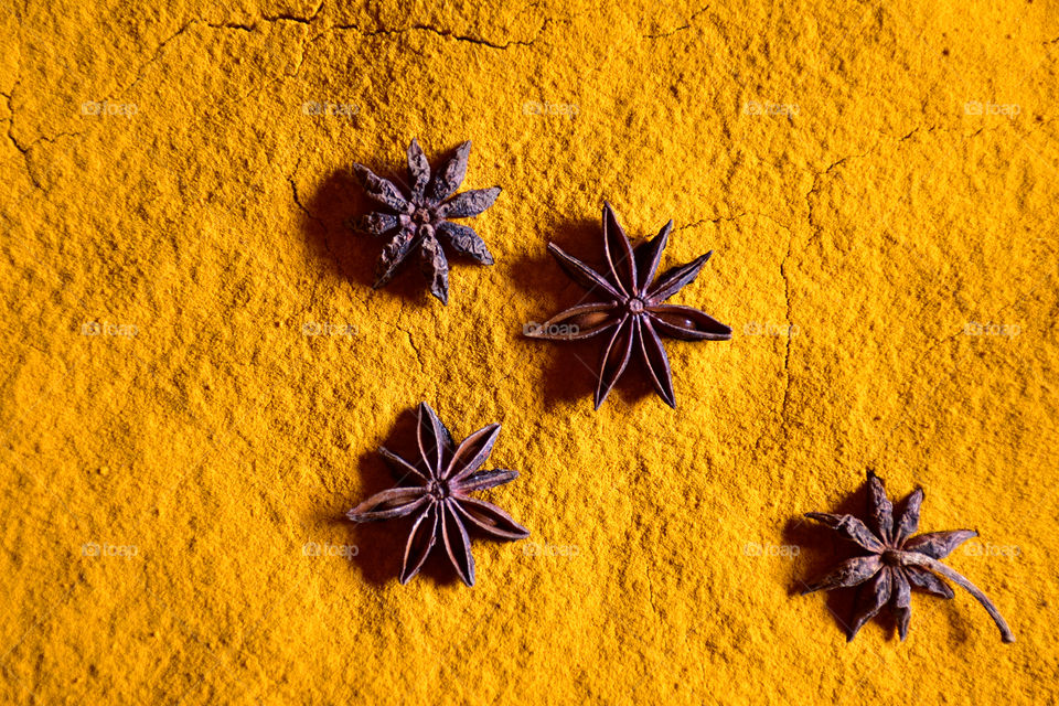 four star anise