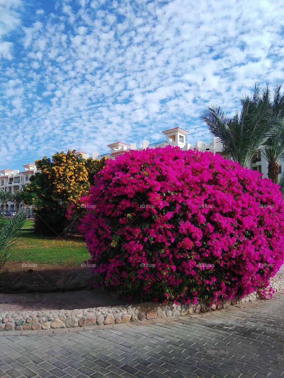 Mobile series plants