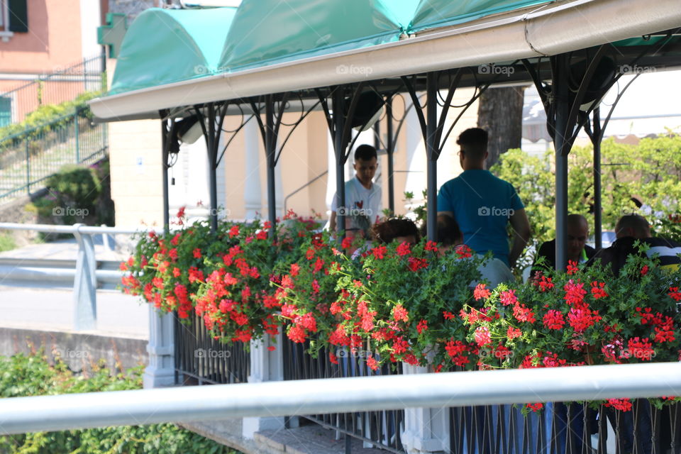 Potted plants making cozy place to eat  in