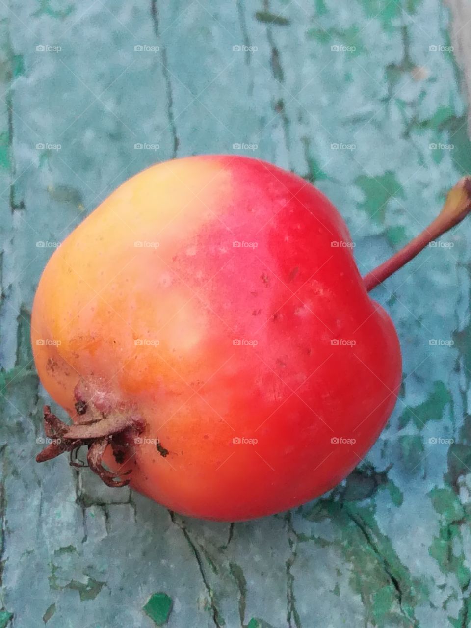 Small red apple 2
