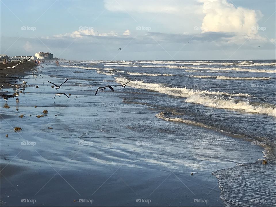 Galveston Island Beach