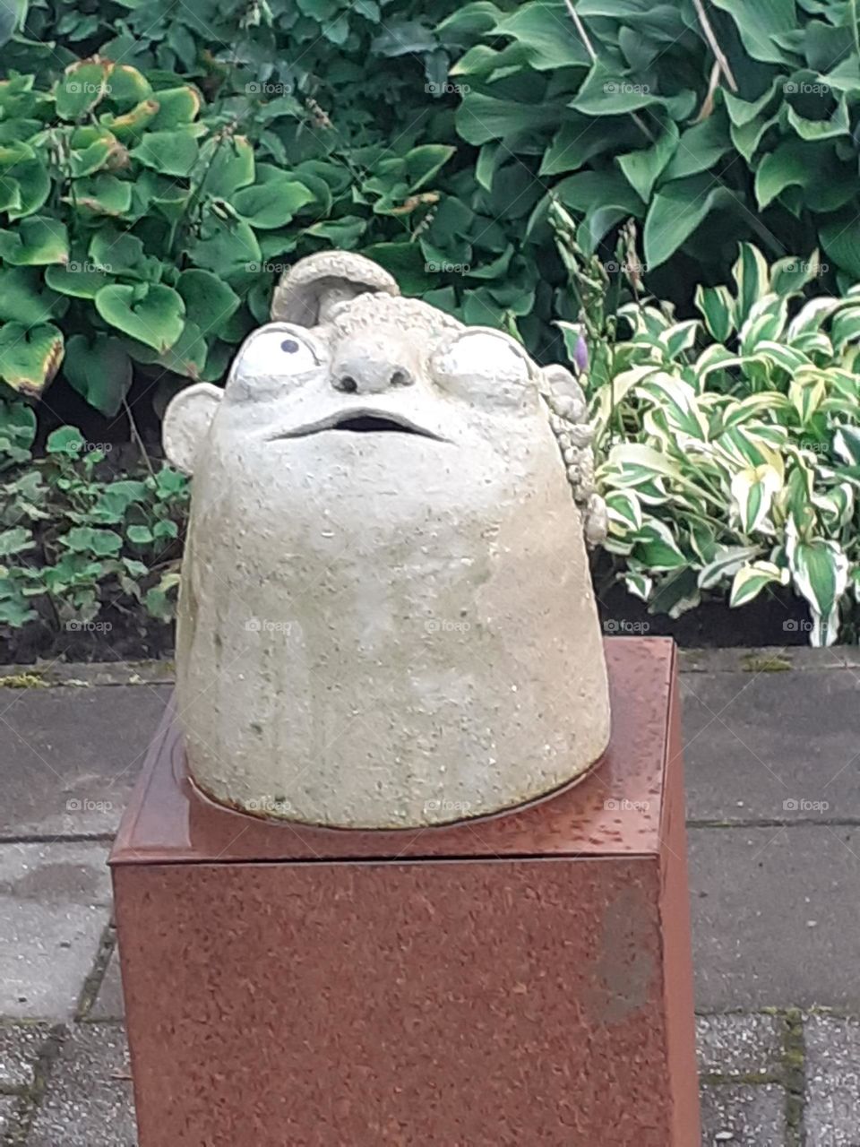 Смешная морда