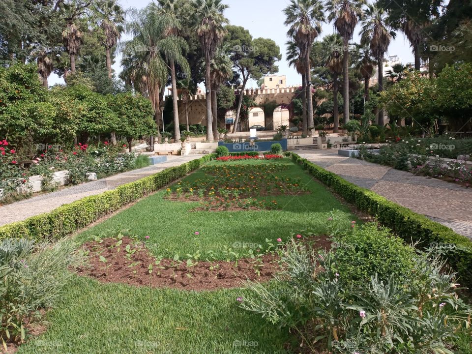 Jnane Sbil is a old gardin in a vieu médina of Fes city morocco