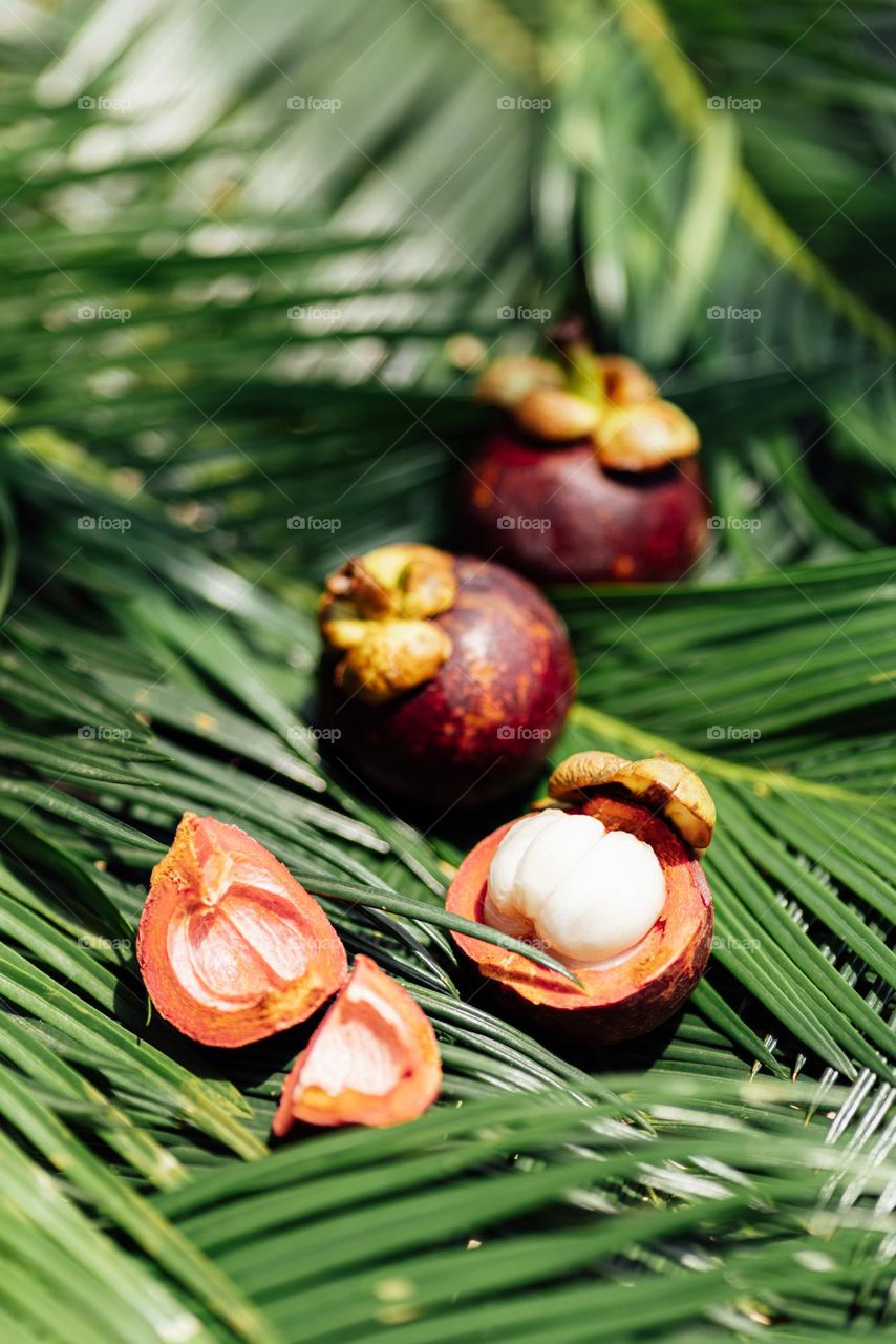 Fresh mangosteen