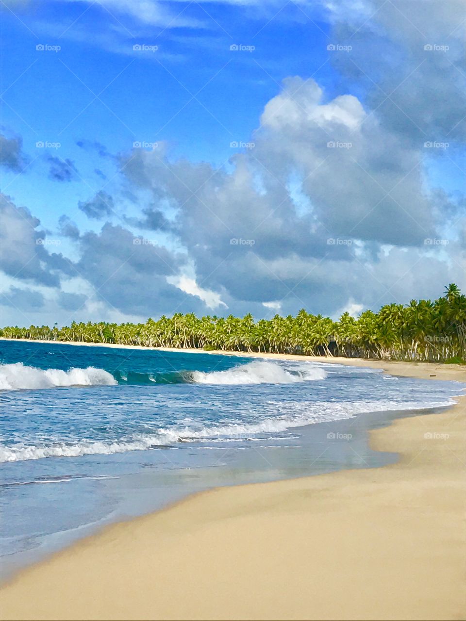 deserted beach in the Dominican Republic, beautiful late afternoon in mid summer, catching waves and a perfect tropical forest 