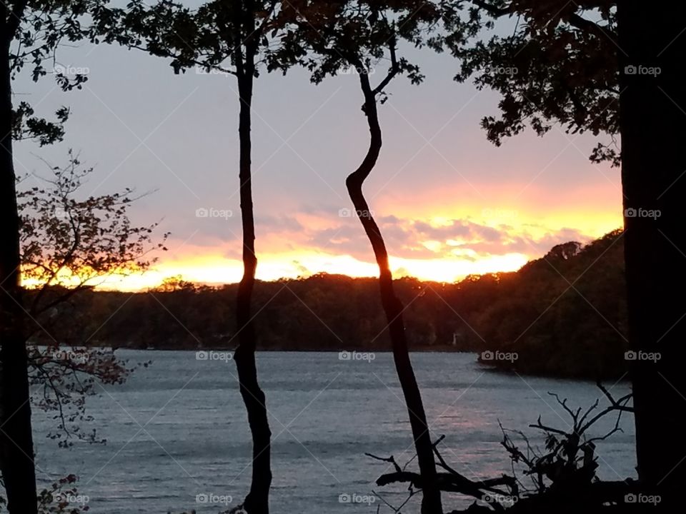 Sunset and tree silhouettes