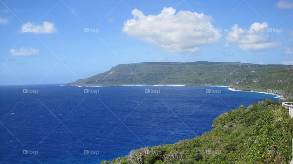 View from bird sanctuary