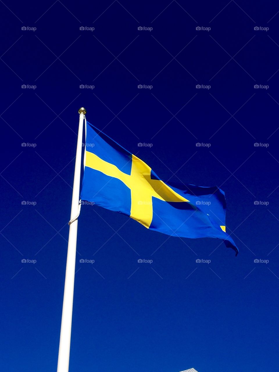 Swedish flag