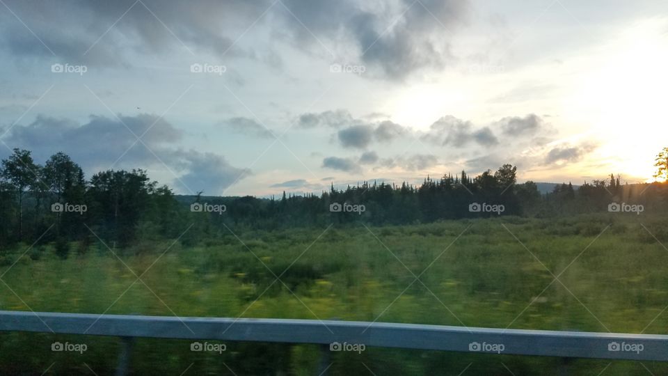 Landscape, Tree, Sky, Nature, Cloud