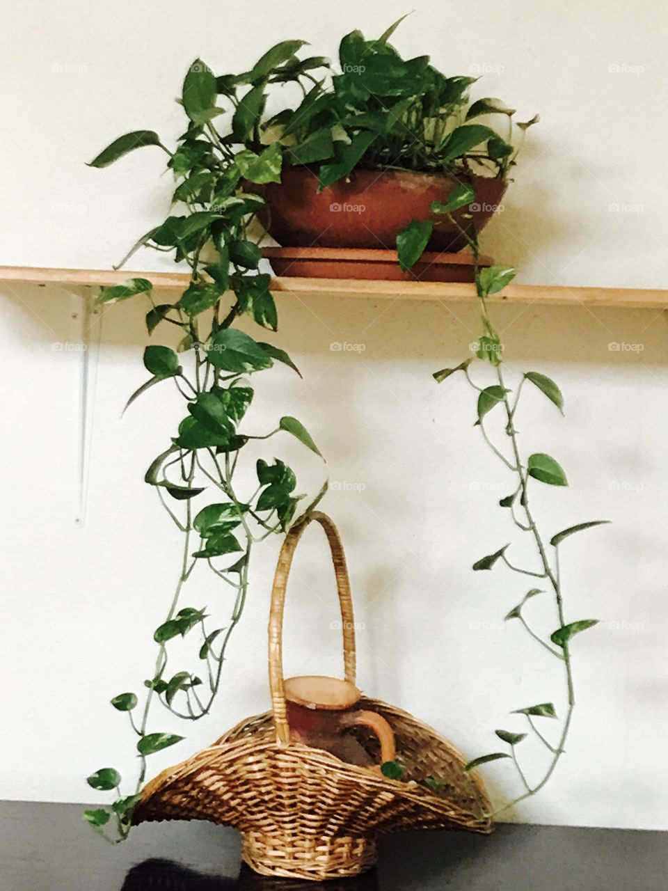 Plants-greens-basket-decorating-nature