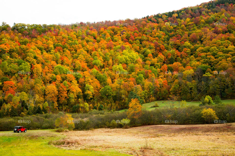 Jeep in the fall 