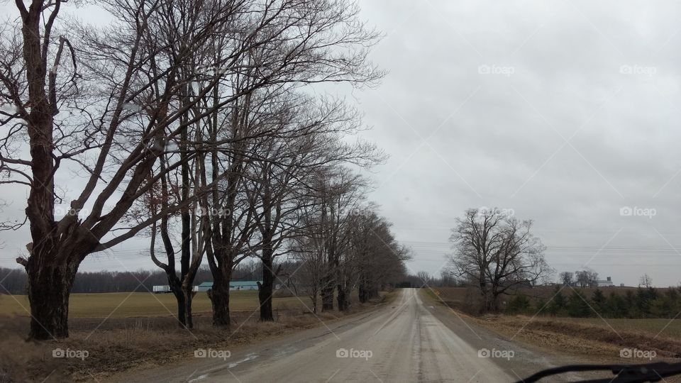 Once Upon An Early Spring