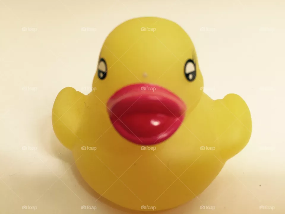 My duck