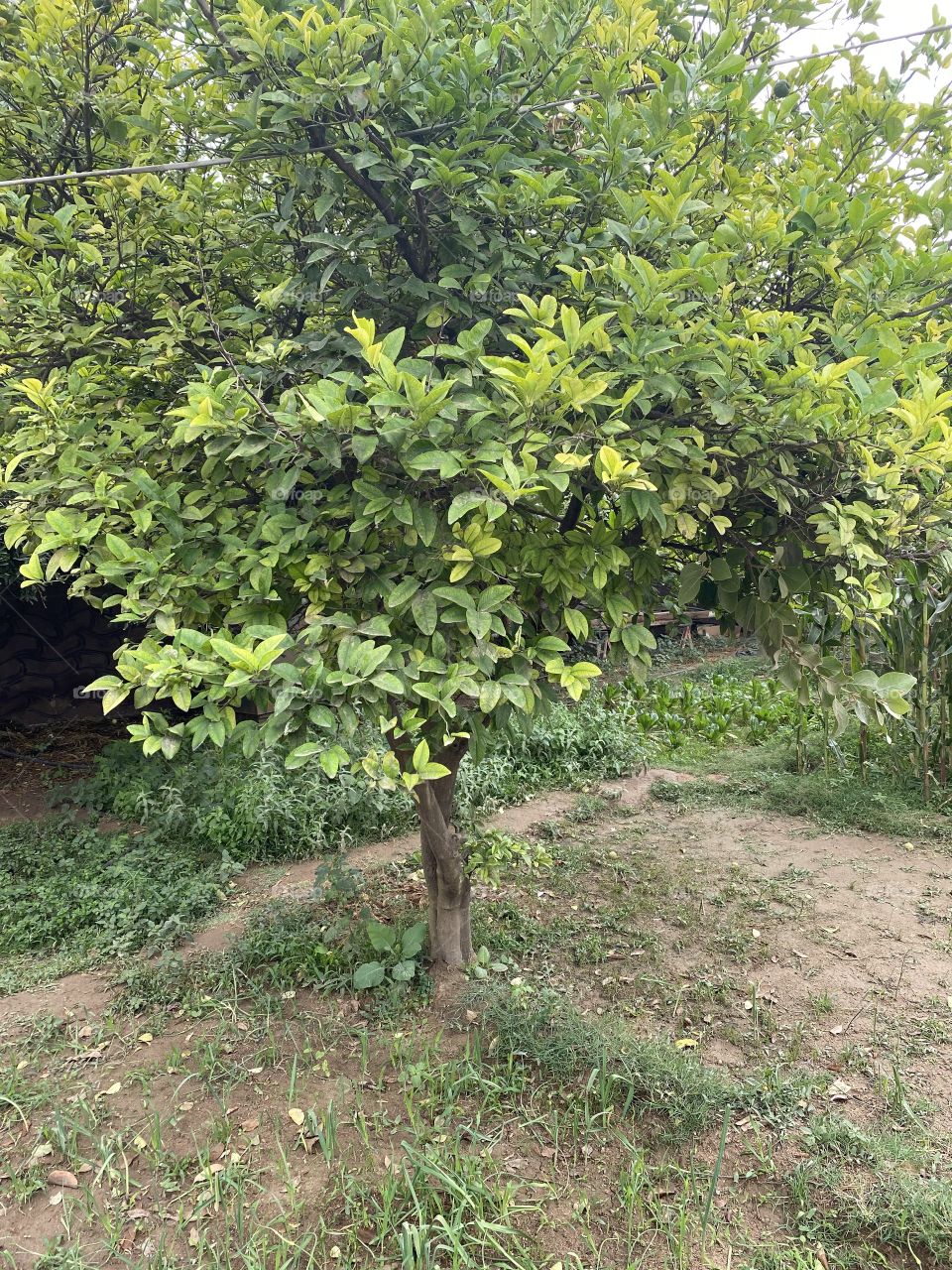 Beautiful weather today very nice and cold 🥶