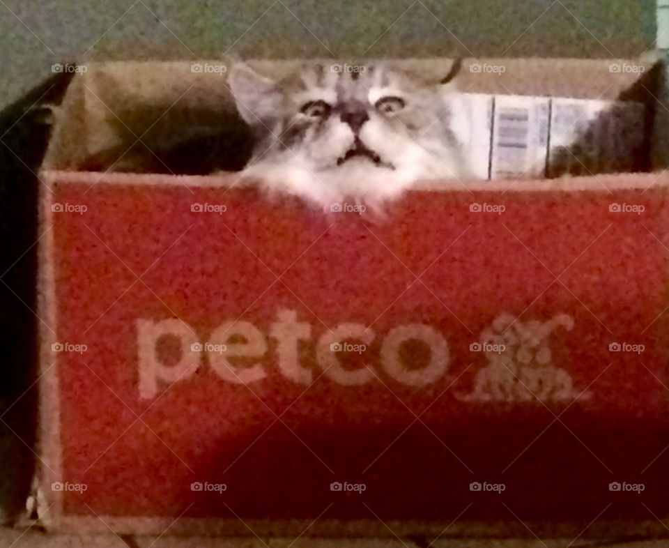 Guess what came today!