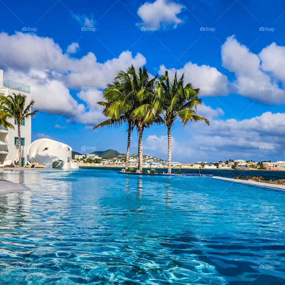 Resort pool with palm trees near the ocean