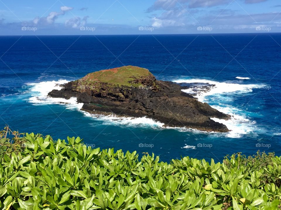 Kilauea National Wildlife refuge