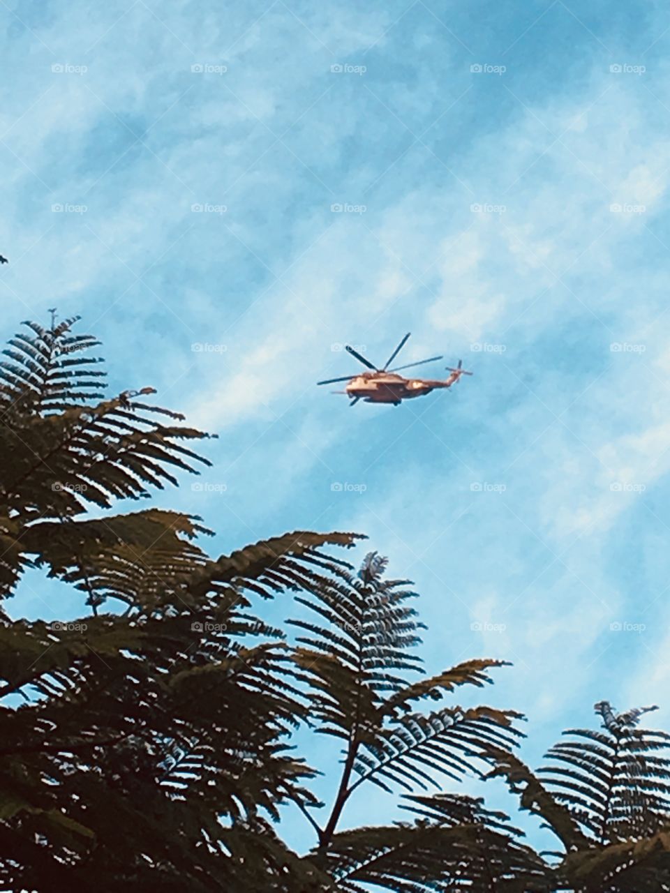 A tropical helicopter