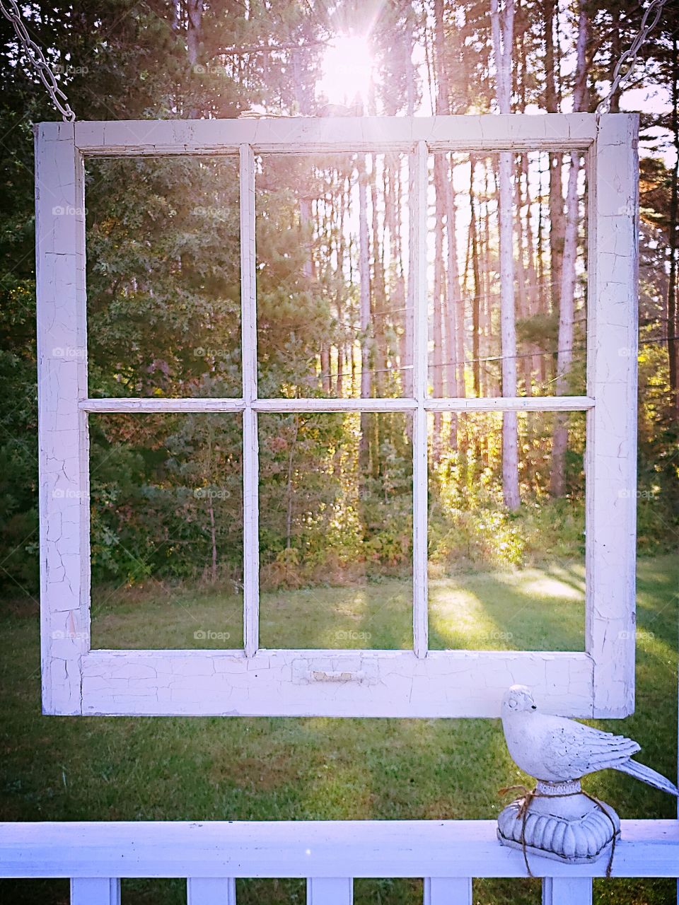 morning sunshine through a wooden window pane