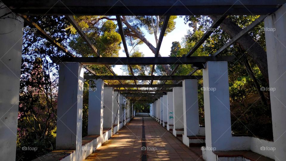 Walk through the park