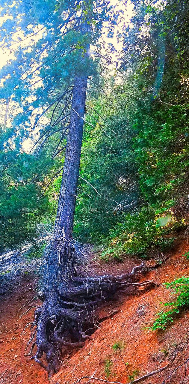 Perfect imperfections