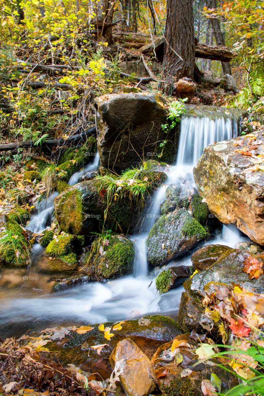 Mountain Springs and Fall Colors