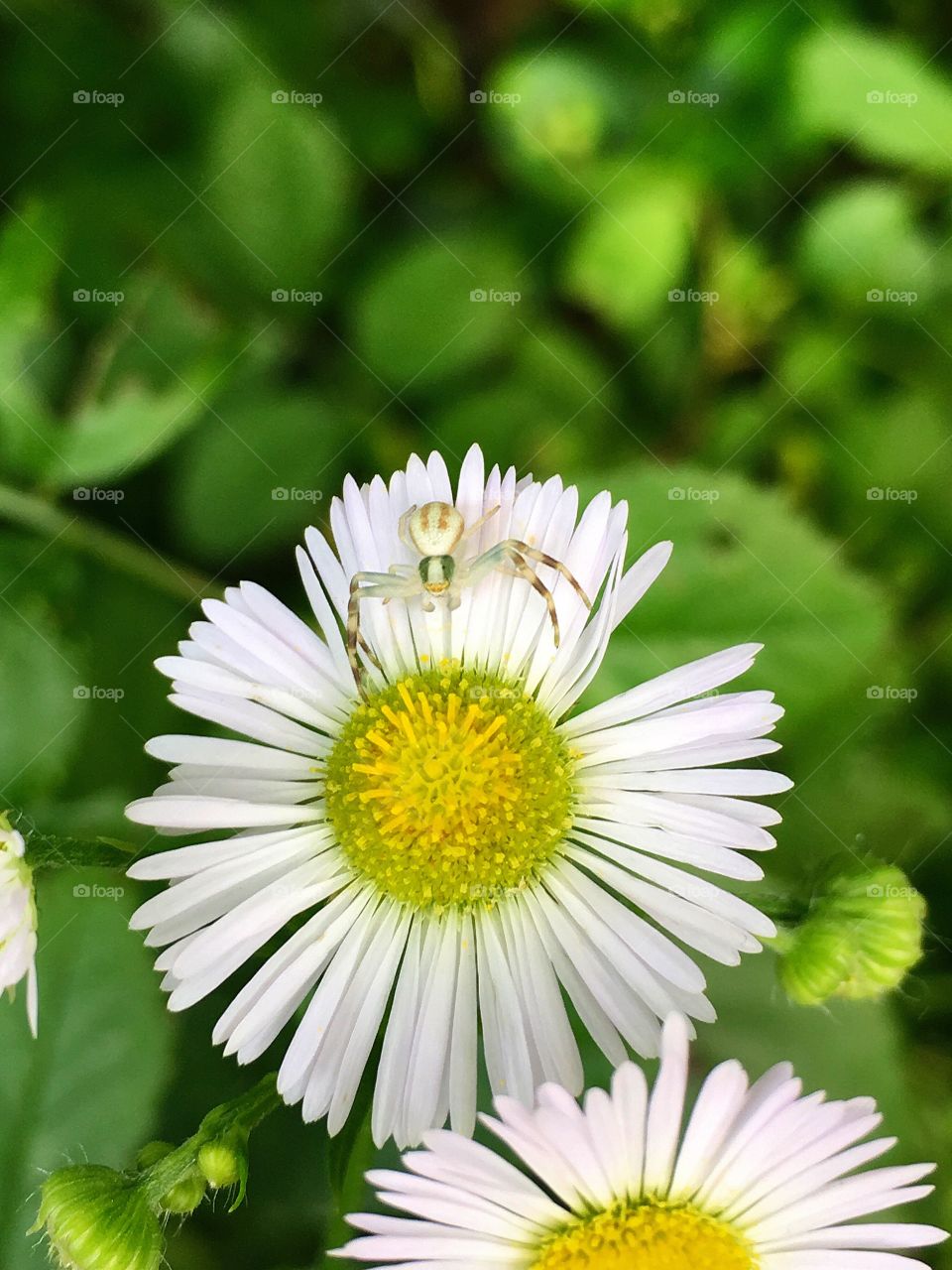 Captured with iPhone 6s Plus 