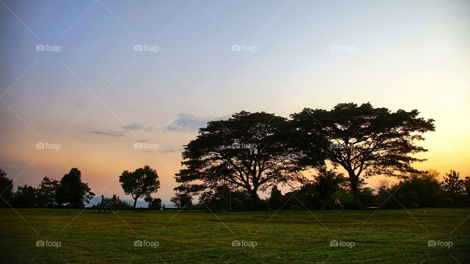 sunset view on the green field of ratu boko archaelogical site