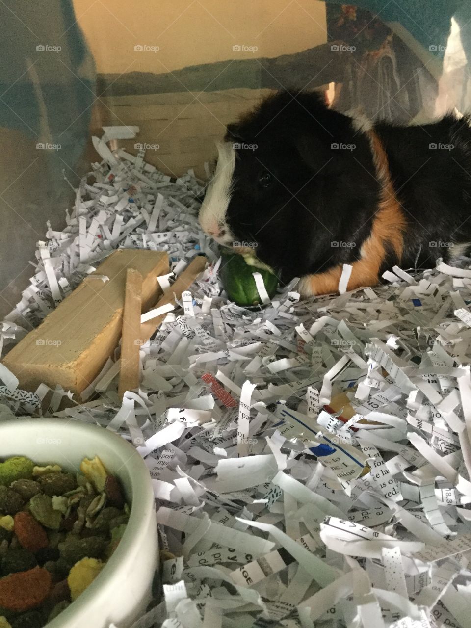 No Person, One, Litter, Food, Garbage