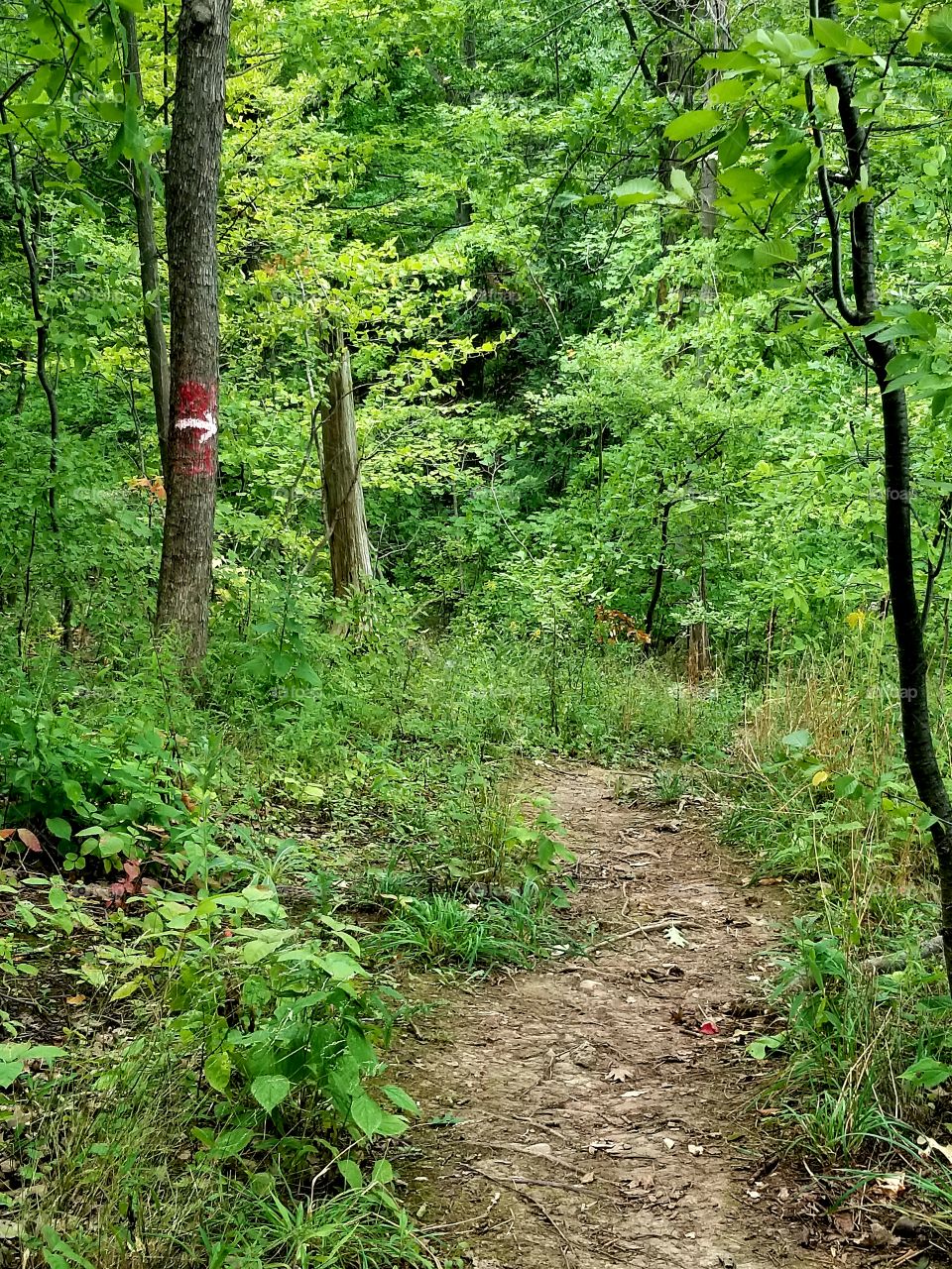 Niagara falls river trail