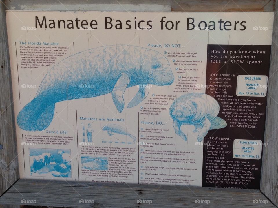 Manatee information for boaters