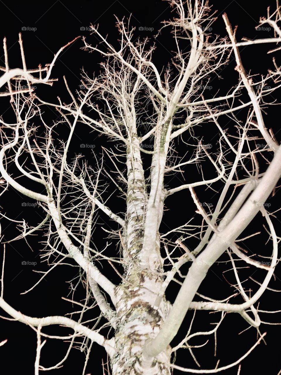 Winter Nighttime Photography 